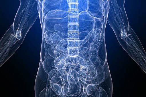 upper gastrointestinal diagram upper gastrointestinal diagram