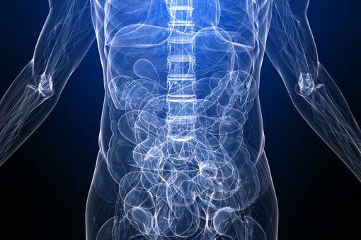 upper gastrointestinal diagram