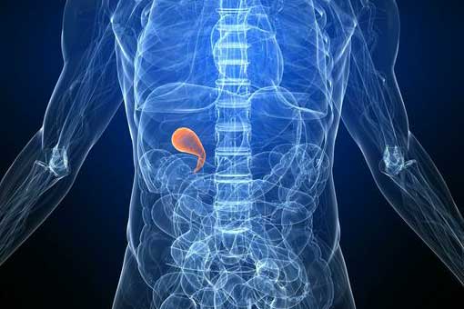 upper gastrointestinal surgeons treat gallbladder and gallstones upper gastrointestinal surgeons treat gallbladder and gallstones