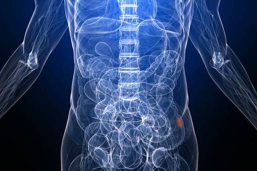 upper gi surgery hernia upper gi surgery hernia
