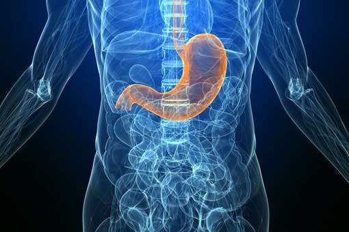 Bowel Cancer and Stomach Cancer Bowel Cancer and Stomach Cancer