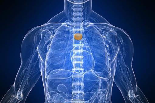 upper gi Esophageal Cancer